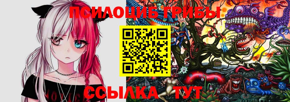 Псилоцибиновые грибы GOLDEN TEACHER Грязи