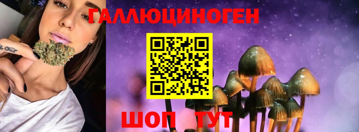 Псилоцибиновые грибы мицелий  Вход с VPN  Грязи  Галлюциногенные грибы MAGIC MUSHROOMS 